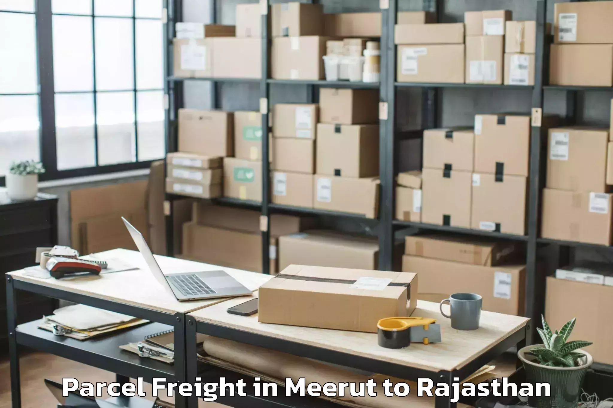 Leading Meerut to Balotra Parcel Freight Provider